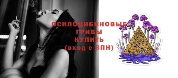 дурь Арсеньев