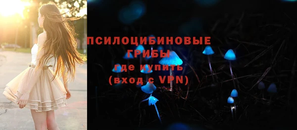СК Аркадак