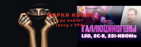 прущие грибы Медвежьегорск