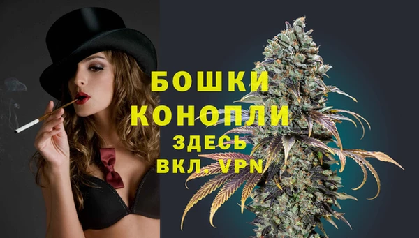 дурь Арсеньев
