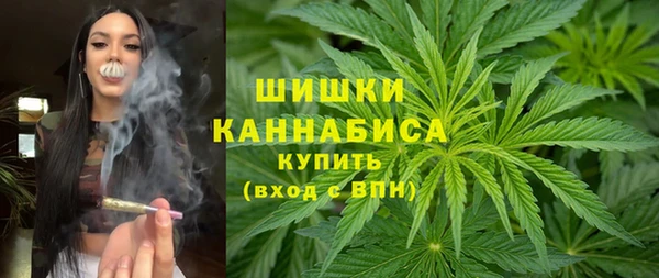 индика Надым