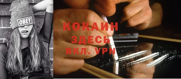 дурь Арсеньев