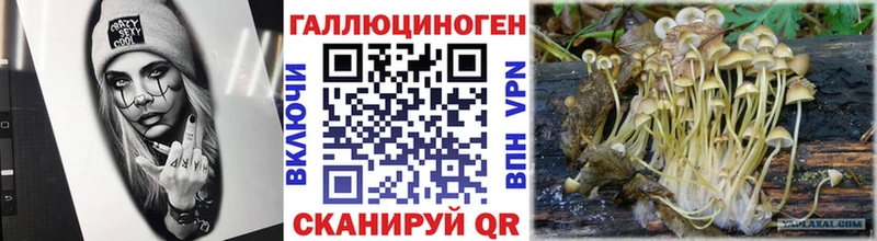 Псилоцибиновые грибы MAGIC MUSHROOMS где найти наркотики Октябрьск